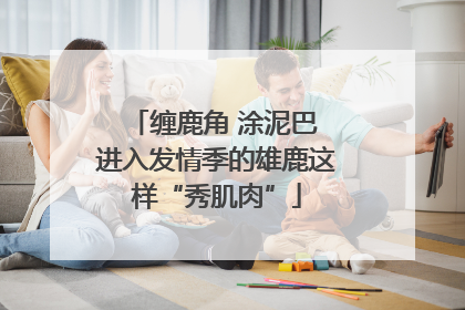 缠鹿角 涂泥巴 进入发情季的雄鹿这样“秀肌肉”
